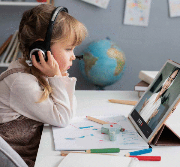 The Challenges of Online Education