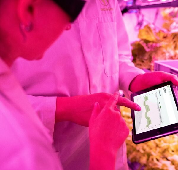 boost your digital growth